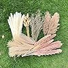 100pcs pampas grass boho home decor 17 inch natural dried flowers pampas grass contains bunny tails white pampas brown pampasboho decor for farmhouse wedding boho wall bathroom office kitchen  urban country home decor