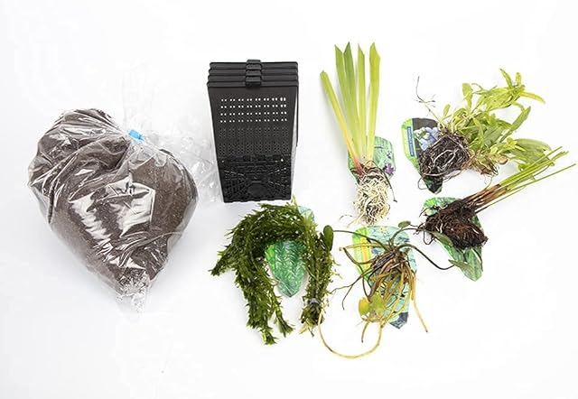 Lincolnshire Pond Plants Ltd XS- Extra Small Pond Pack Bareroot