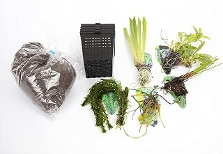 Lincolnshire Pond Plants Ltd XS- Extra Small Pond Pack Bareroot