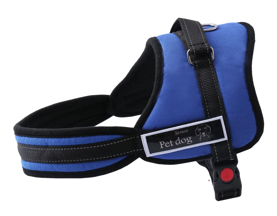RvPaws Dog Harness Non-Pull Soft Padded Dog Body Harness Vest Heavy Duty with Straps and Handle and Adjustable - (Medium, Blue) (B0BR29HQZR) Amazon Price History, Amazon Price Tracker