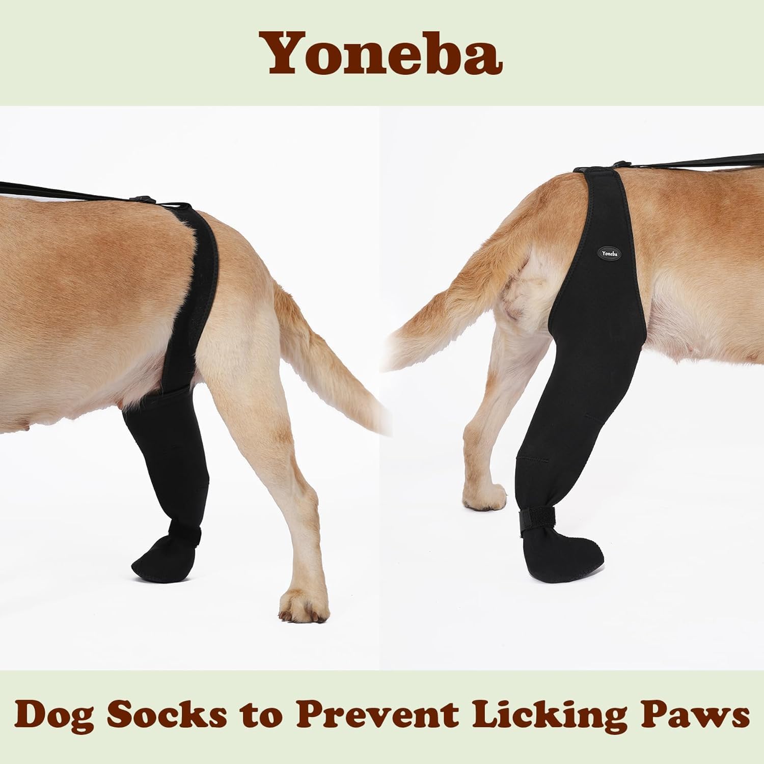 Dog Socks to Prevent Licking Paws ，Breathable Leg Sleeve to Stop Licking and Biting， Firm and Secure Adjustable Size Dog Recovery Sleeve Socks (XL-Left)