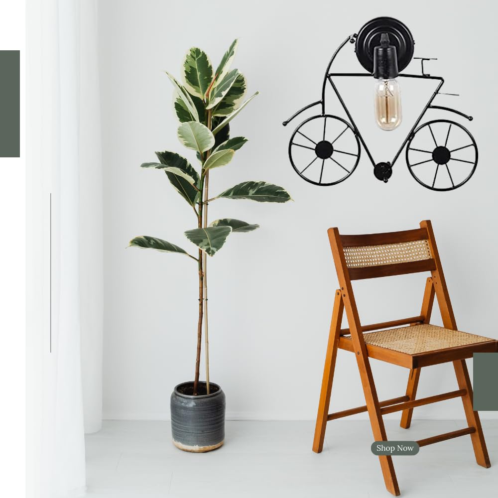 Round Shape Metal and Glass Surface Light/Outdoor Ceiling Light for Restaurant, Bedroom, Living Room and Home Décor, Gold Antique and Frostat (Without Bulb) (5)