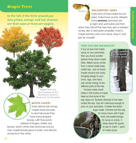 A Walk in the Woods: Into the Field Guide - Image 7