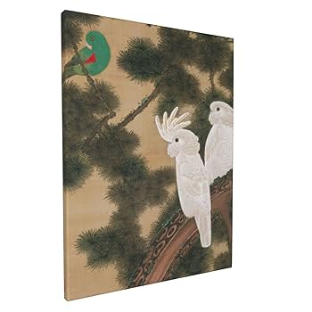 Amazon.co.jp: 伊藤若冲 老松鸚鵡図 壁の絵 アートパネル 壁