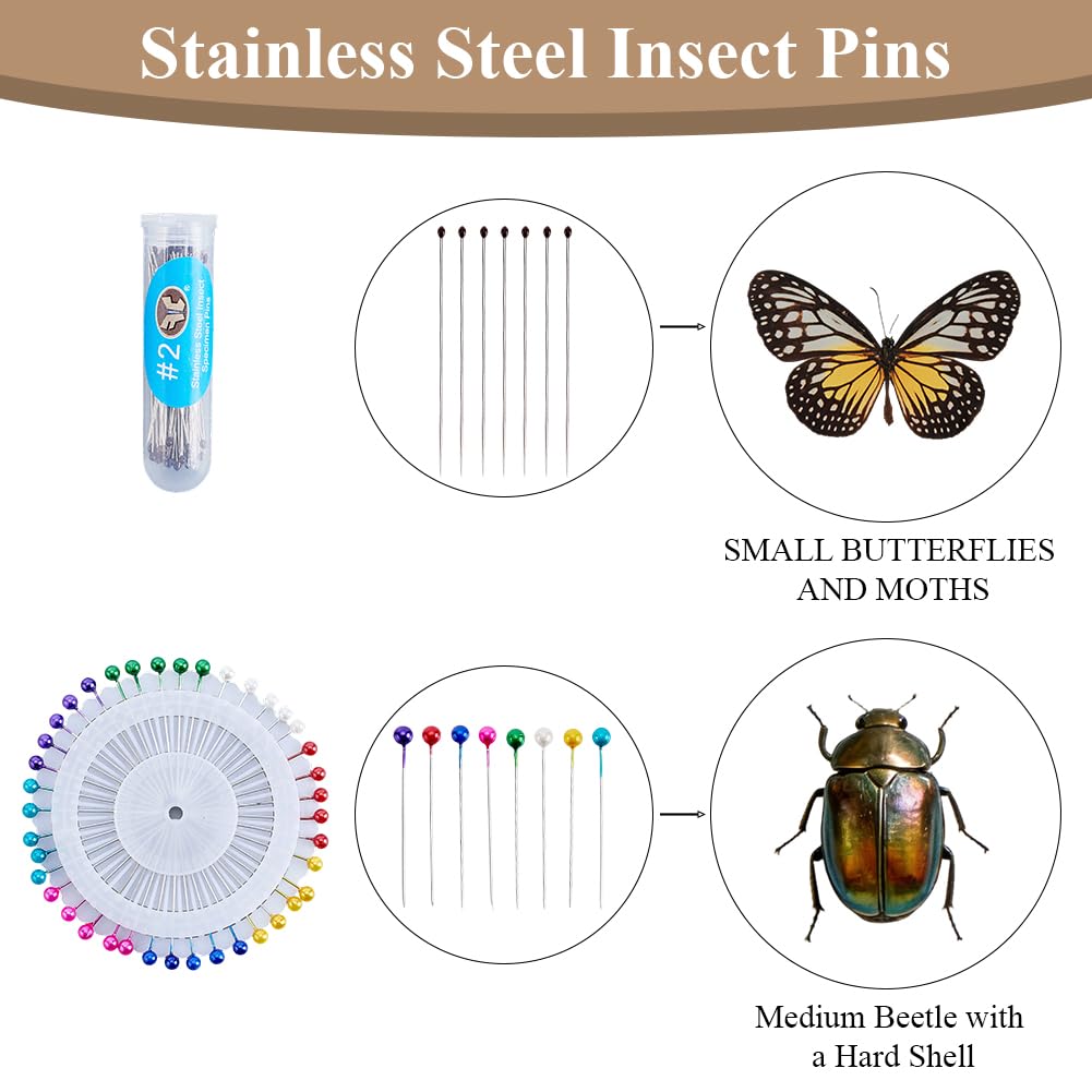 CRASPIRE Insektenpräparat Set Entomologie Präparatewerkzeug EVA Platte Stecknadel Pinzette Plastikbox Flügelpresspapier Präsentationswerkzeuge Set Zum Konservieren Und Präsentieren von Schmetterlingen