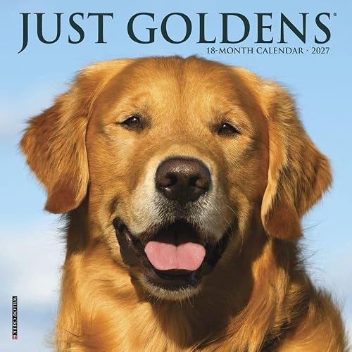 Willow Creek Press, Just Goldens 2027 7" x 7" Mini Wall Calendar