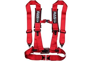 RASTP Seat Belt 3 Point Harness with 3-Inch Padding