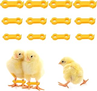 12 Pcs Chicken Leg BandsBaby Chick Poultry Splay Leg Hobble Brace Supplies for Newborn Spraddle Leg of Chick Bird of 1 to 3 Days Newly Hatched