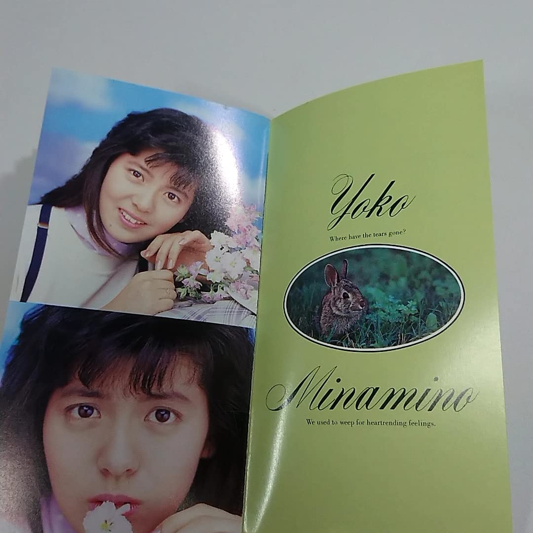 Amazon.co.jp: 南野陽子 写真集 NANNO Photo Memory III 南野陽子14th