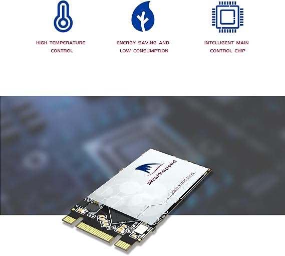 SSD 1TB M.2 2242 NGFF Plus Internal M2 SSD 3D NAND SATA III 6 Gb/s, Solid State Drive for Notebooks Desktop PC (M.2 2242 1TB)