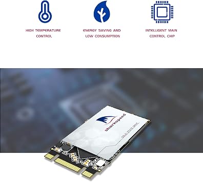 SSD 1TB M.2 2242 NGFF Plus Internal M2 SSD 3D NAND SATA III 6 Gb/s, Solid State Drive for Notebooks Desktop PC (M.2 2242 1TB)