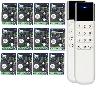 Universal DC12V 24V 1CH 10A Relay RF Wireless Remote Control Lighting Switch System Transmitter Receiver 433mhz Power on - (Color: with 2 Remote, Voltage: 12V, Size: 433MHZ)