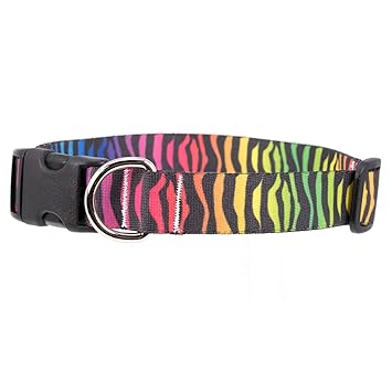 Buttonsmith Rainbow Zebra Dog Collar - Fadeproof Permanently Bonded Printing, Military Grade Rustproof Buckle, Resistant to Odors & Mildew, Choice of 5 Sizes