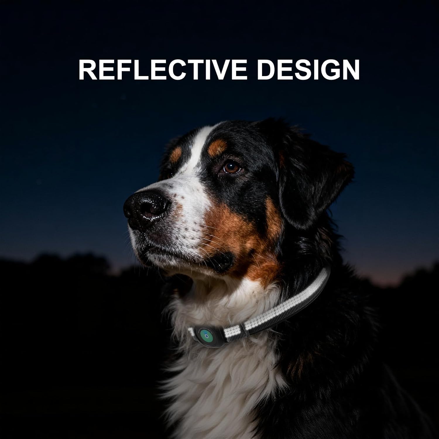 GPS Dog Collar(1 Pack), Mini GPS Cat Tracker, GPS Tracker for Dogs (iOS Only), No Monthly Fee, Compatible with Apple Find My, Anti-Lost, Finder Tag for Kitten Puppy Black M(13.2"-17.5")