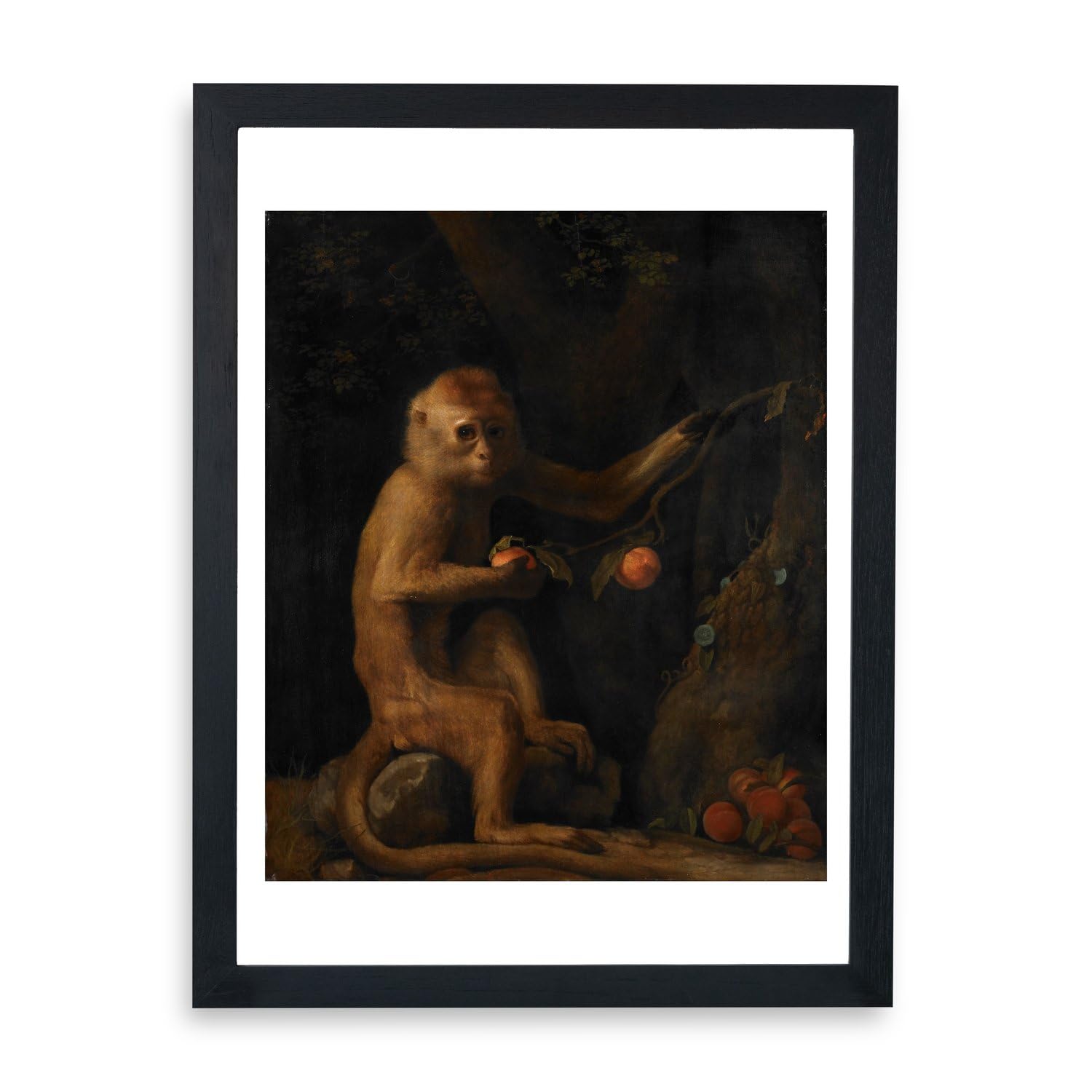 Affiche George Stubbs A Monkey grand format cadre bois tableau de maître - 7