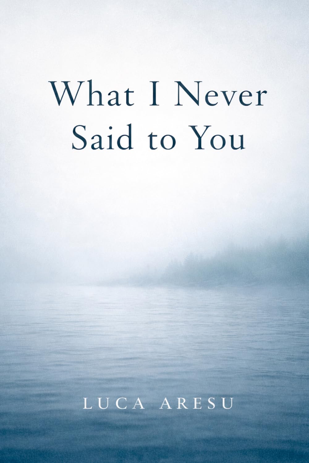 What I Never Said to You: A Novel of Letters, Grief, and the Wrong Name