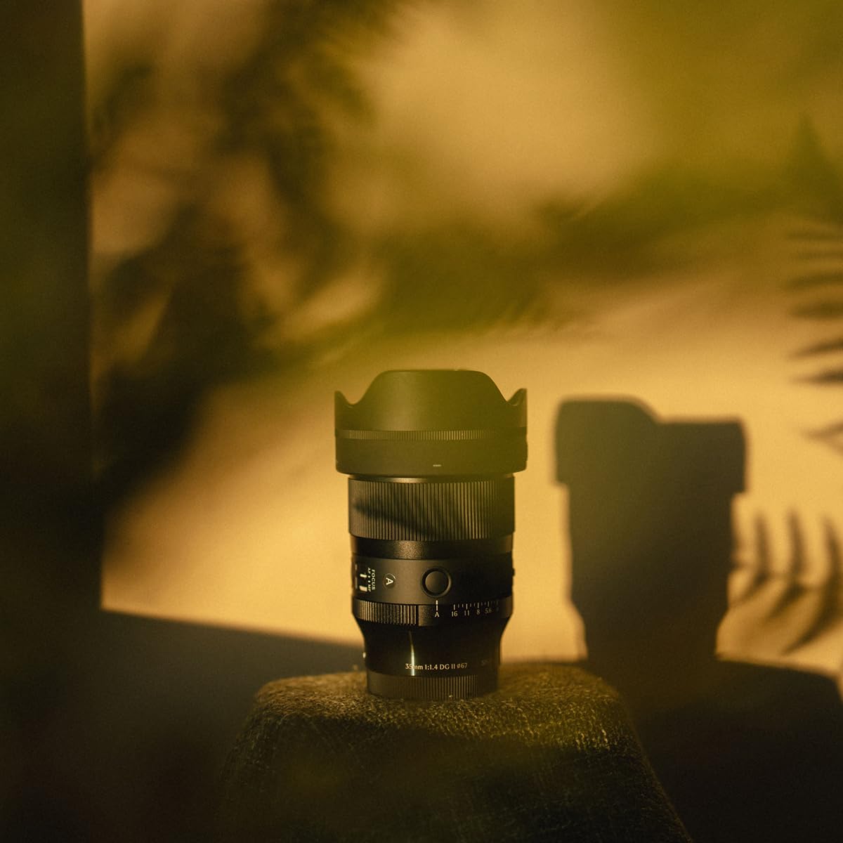 Amazon.com : Sigma 35mm F1.4 DG II | Art for Sony E Mount