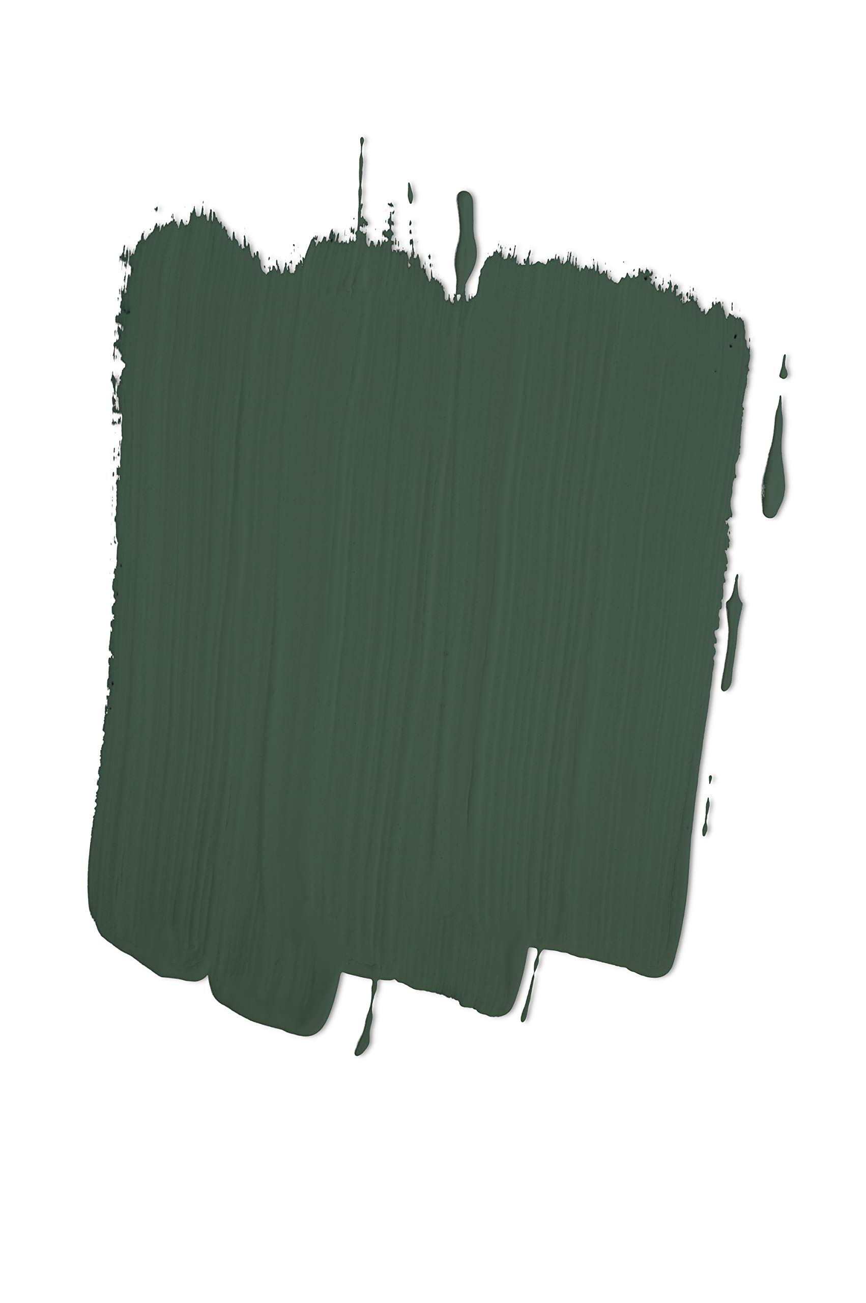 TIXE Pittura Colorata per Interni – Finitura di Alta Qualità e Resistente per Pareti e Superfici, FOREST SHADE 8588-5 4 litri