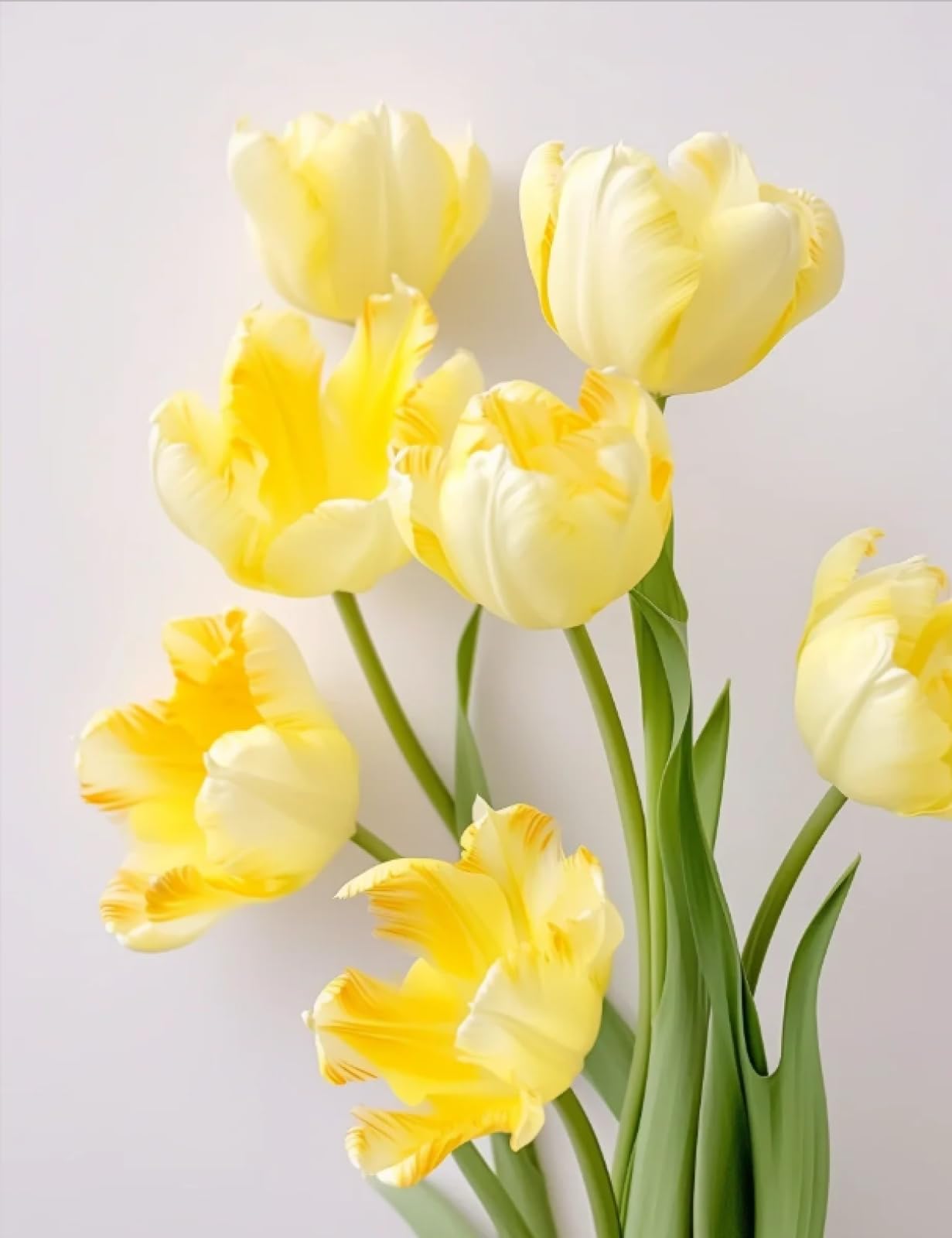Stithej Pre-Printed Cross Stitch Kit Yellow Tulips 11CT Adults Beginners
