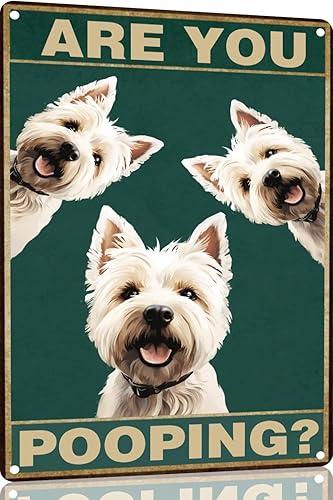 Vista 38 de Bichon Frise Dog - Cartel de 12 x 16 pulgadas con texto en inglés "Are You Pooping" para decoración de baño, póster de metal para perro amante