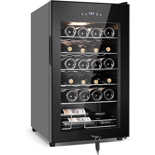 Tylza 24 Bottle Wine Fridge, Wine Cellar with Powerful Compressor, LED Touchscreen, Low-E Tempered Glass Door, Lock, Wine Cooler Refrigerator for Red, White, Champagne or Sparkling Wine, Black