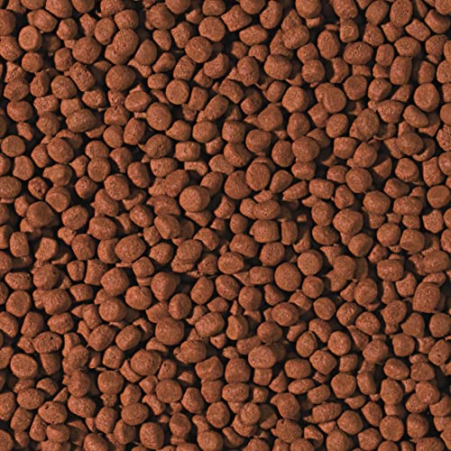 Alimento cíclidos carnívoros para evitar turbidez en acuarios grandes pellet 10L 3