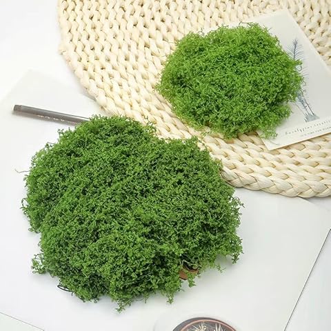 Mousse Verte Frogetu Cover