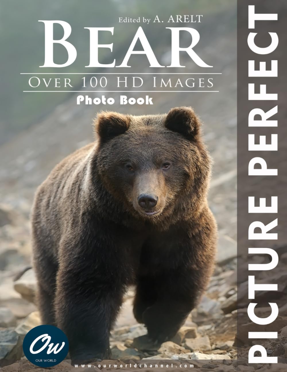 Bear : Picture Perfect Photo Book: Over 100 HD Images