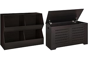 Dinzi LVJ Storage Chest and Cubby Bookcase Bundle