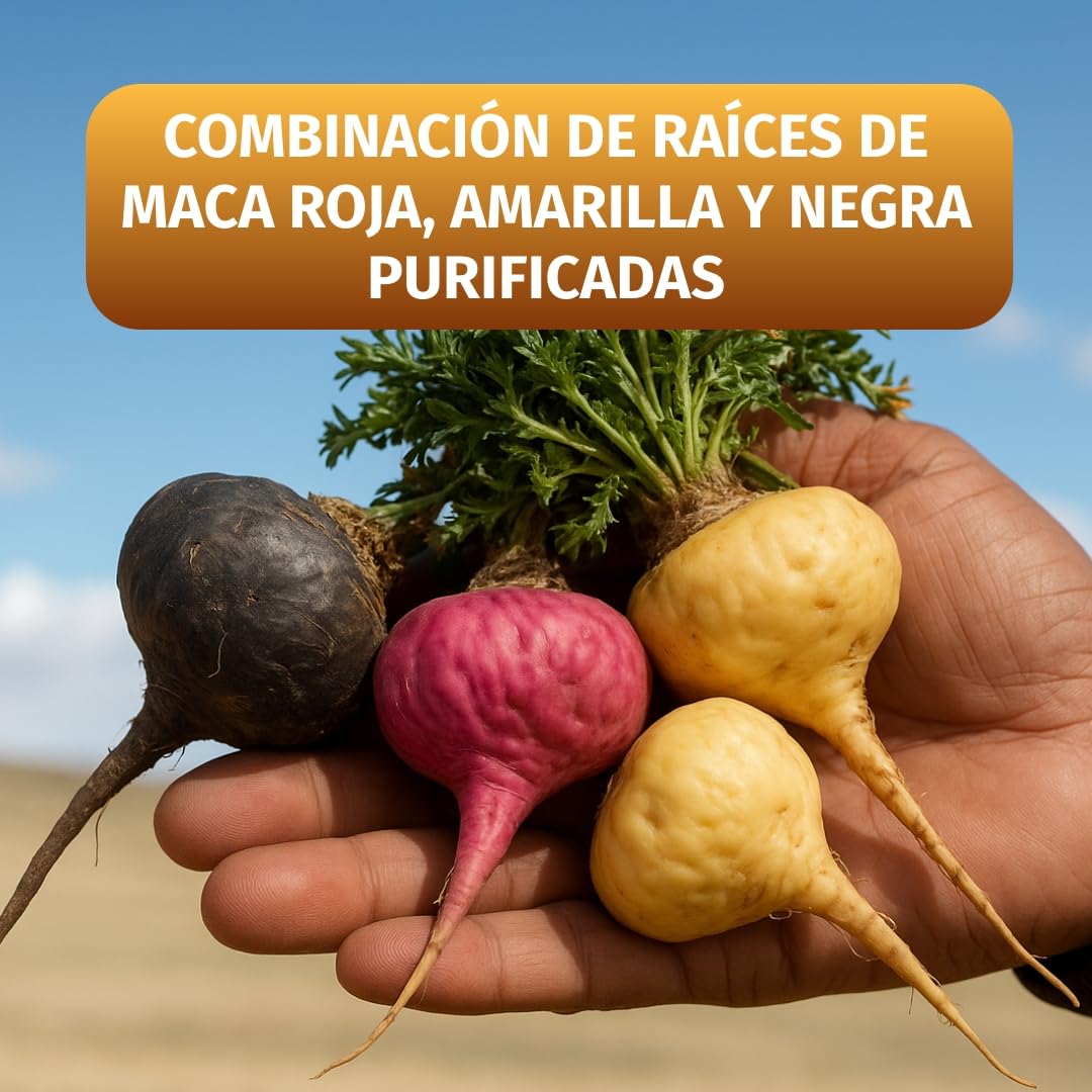 Green Naturals Maca Negra-Roja-Amarilla 40:1 – 2.800 mg – 240 cápsulas | Equivale a 112.000 mg de maca · Vegano · Para 2 meses · Analizada en laboratorio