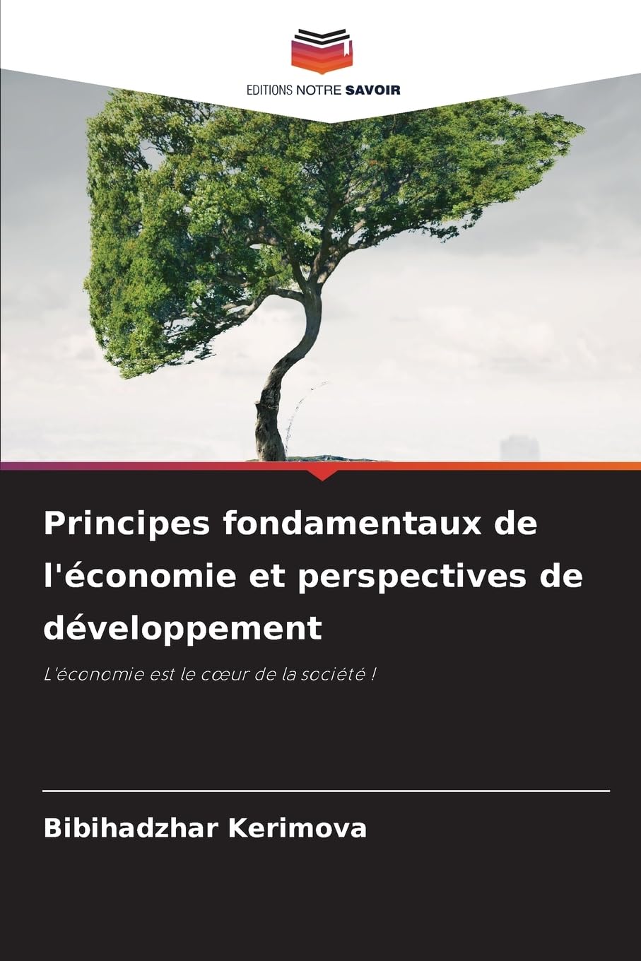 Principes fondamentaux de l'économie et perspectives de développement: L'économie est le cœur de la société !