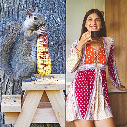 Large Squirrel Picnic Table Feeder - Cedar Squirrel Feeders For Outside Trees, Deck, Fence - Funny Corn Cob Holders, Novelty Hanging Mini Picnic Table For Squirrels, Fun Wooden Chipmunk Bench Platform #TOP3