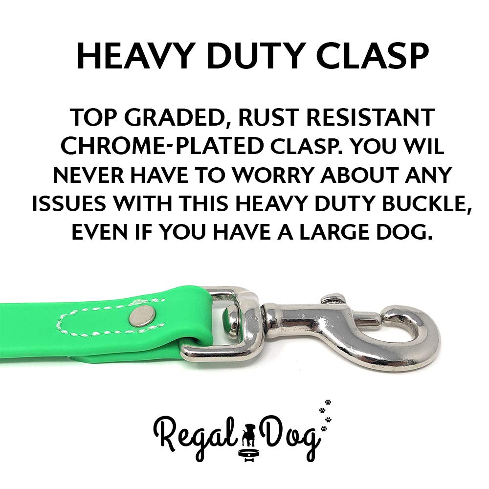 Regal Dog Products Collare e guinzaglio per Cani Resistenti all'Acqua Verde - Fettuccia Rivestita in Vinile su Misura, Doppia Fibbia e Anello a D per Cani di Taglia Media
