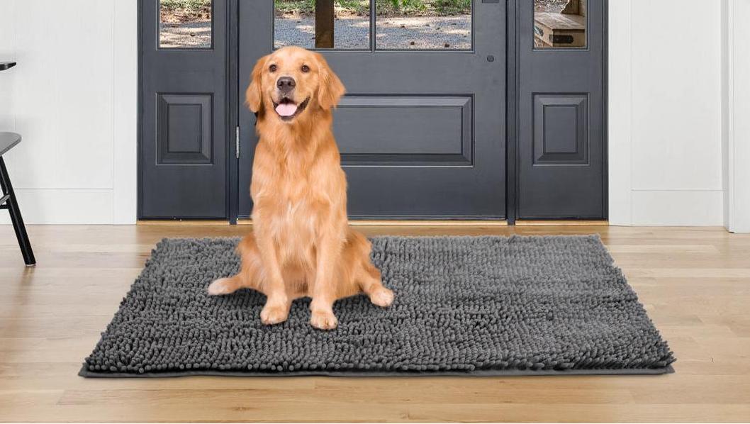 Amazon.com : Naturei Chenille Absorbent Front Door Mat 48