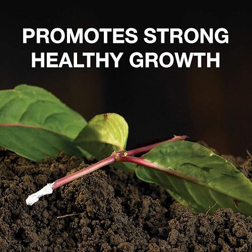 Miniatura 2 de Doff Hormone Rooting Powder Plant and Cuttings 75g Dibber Pack Rootings Power