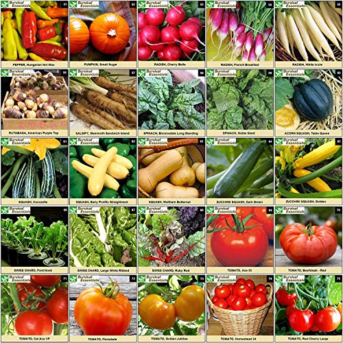 Survival Essentials Heirloom Seed Vault, 17,500 Non-GMO Seeds-100 Variety - Image 4