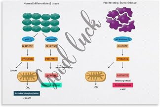 Cancer Cell Metabolism Vs Normal Cell Biochemistry Poster Biology Education Wall Art Canvas Painting Posters And Prints Wall Art for Living Room Bedroom Decor 12x08inch(30x20cm) Unframe-style