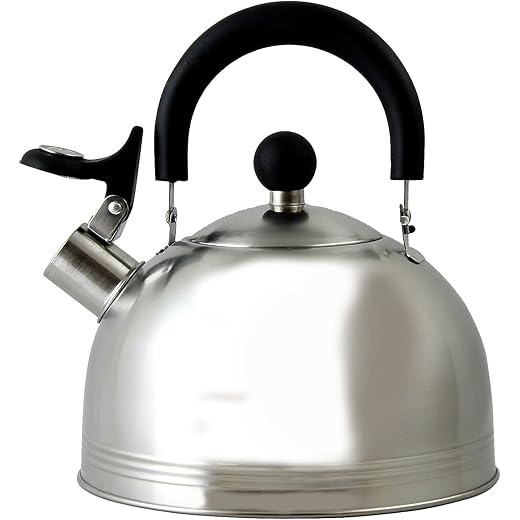 Mr. Coffee Carterton Stainless Steel Whistling Tea Kettle, 1.5-Quart, Silver