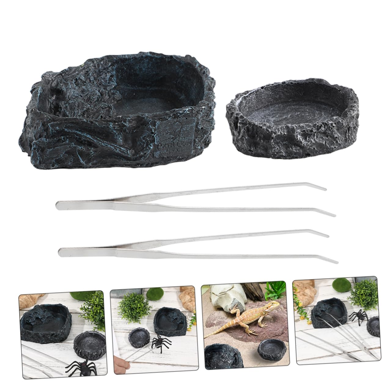 1set Ciotola Grandper Rettili con Pinzette Curvate Accessorio Versatilper Tartarughe e Draghi Barbati Ciotola per Cibo per Terrari Facile da Pulire e Resistente