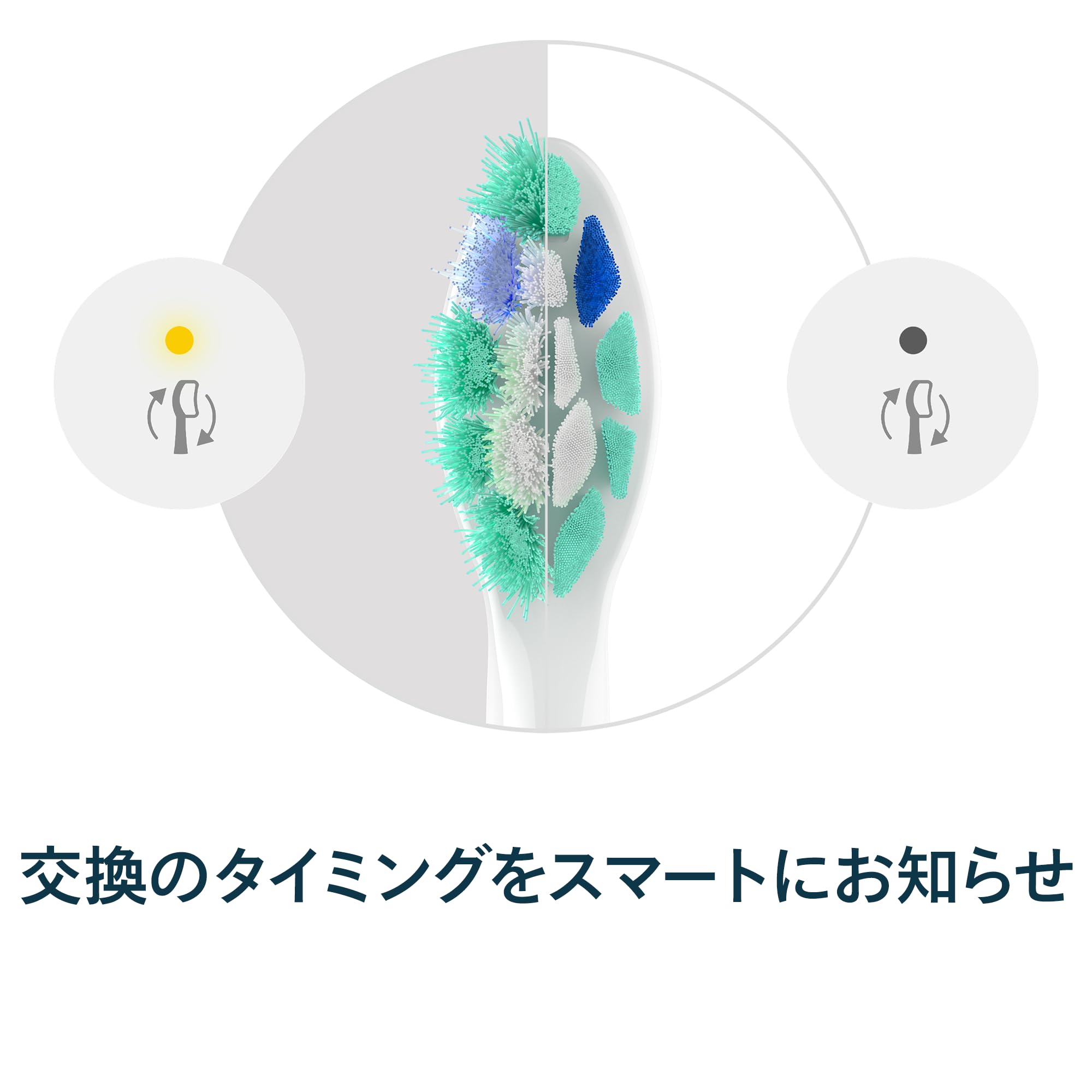 Amazon | フィリップス 替えブラシ ソニッケアー C2 クリーンプラス 歯