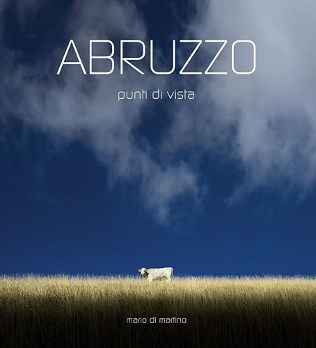 Abruzzo. Punti di vista. Ediz. italiana e inglese
