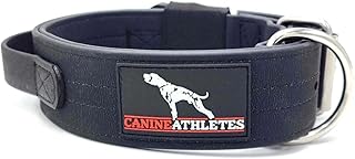 Canine Athletes 2