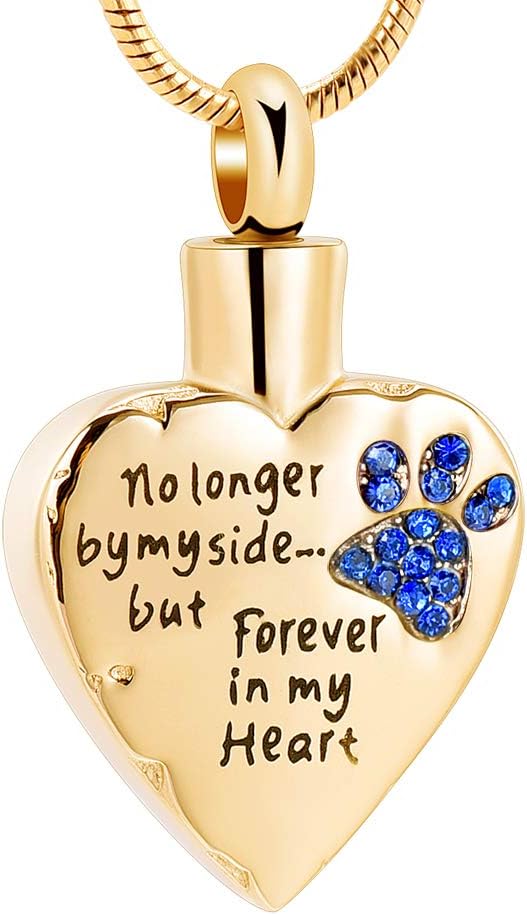 No Longer by My Side,But Forever in My Heart Carved Locket Cremation Urn Necklace for Pet Dog Cats
