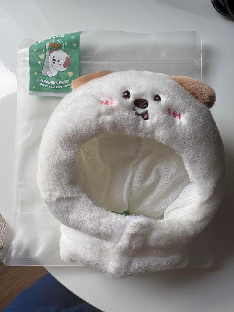 RII ZE アントン ペンライトカバー RIIZE ペンライトカバー