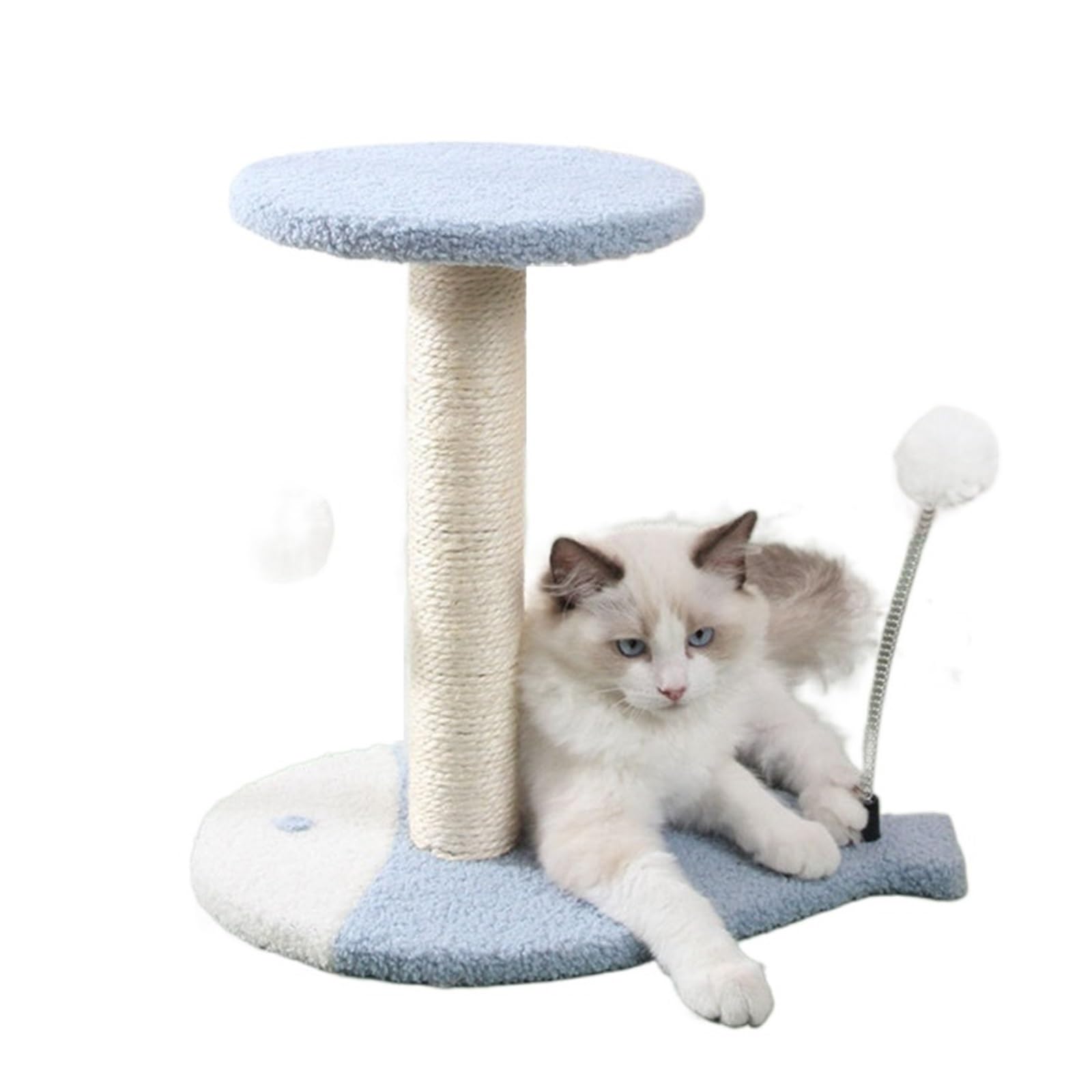 Griffoir pour chat bleu et cadre d escalade interactif pour saut
