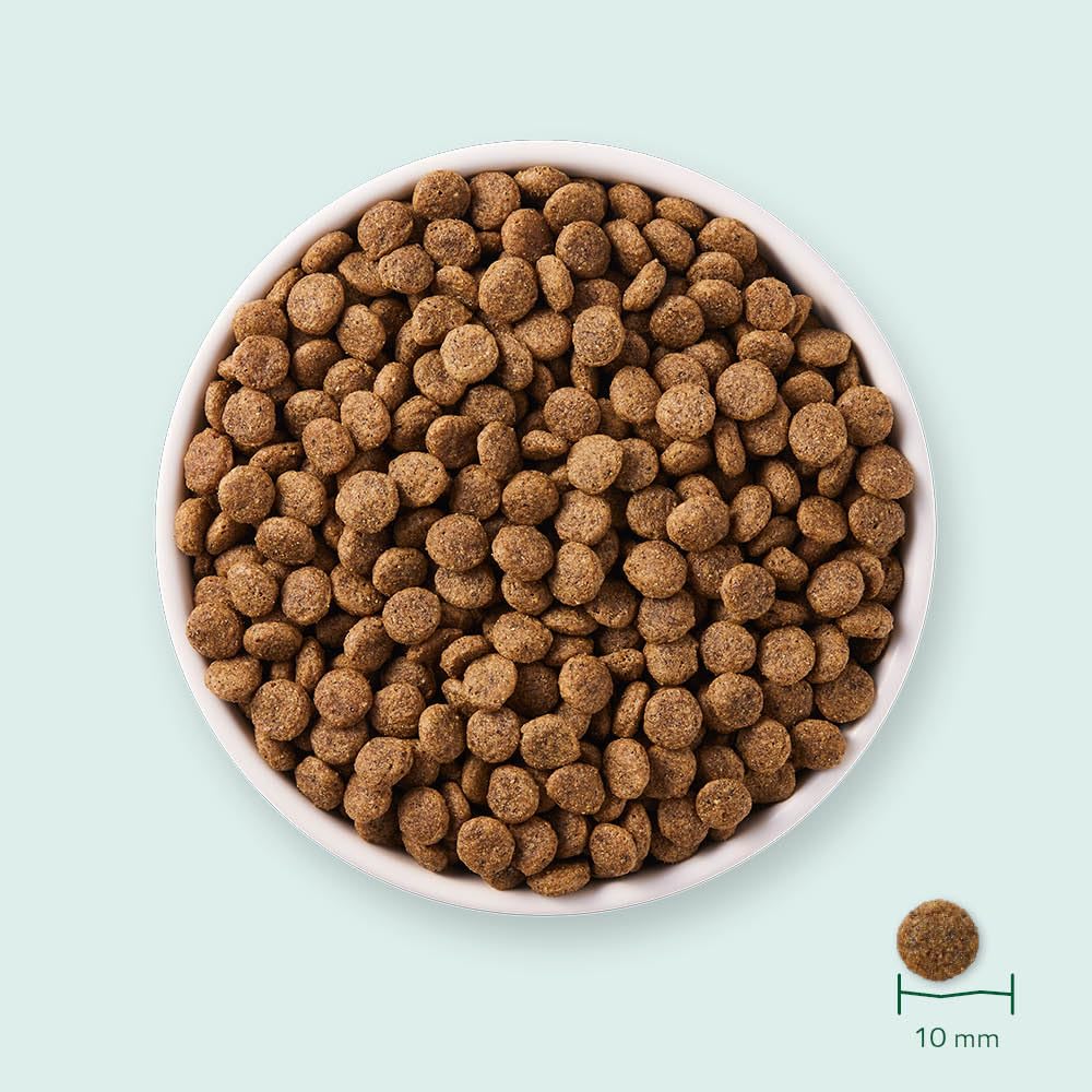 Yarrah Bio Katze Trockenfutter weizenfrei Huhn & Fisch (MSC) ? auch für Kätzch 1 x 2400 g