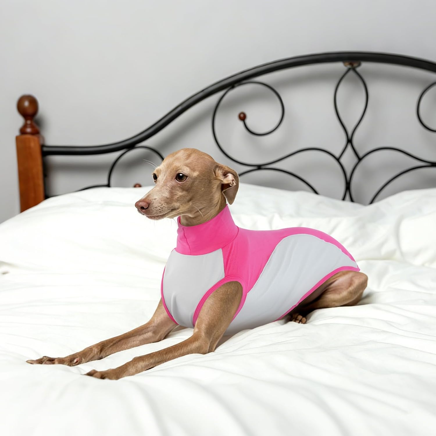 Тонкий свитер Whippet, хлопковая футболка Whippet с высоким воротником, мягкая футболка для собак с защитой от солнца в области головы (розовый, M)
