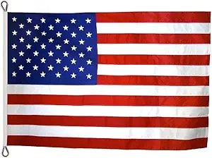 Annin Flagmakers (2750) Tough-Tex American Flag, Made in USA, 8 x 12 Feet, Polyester