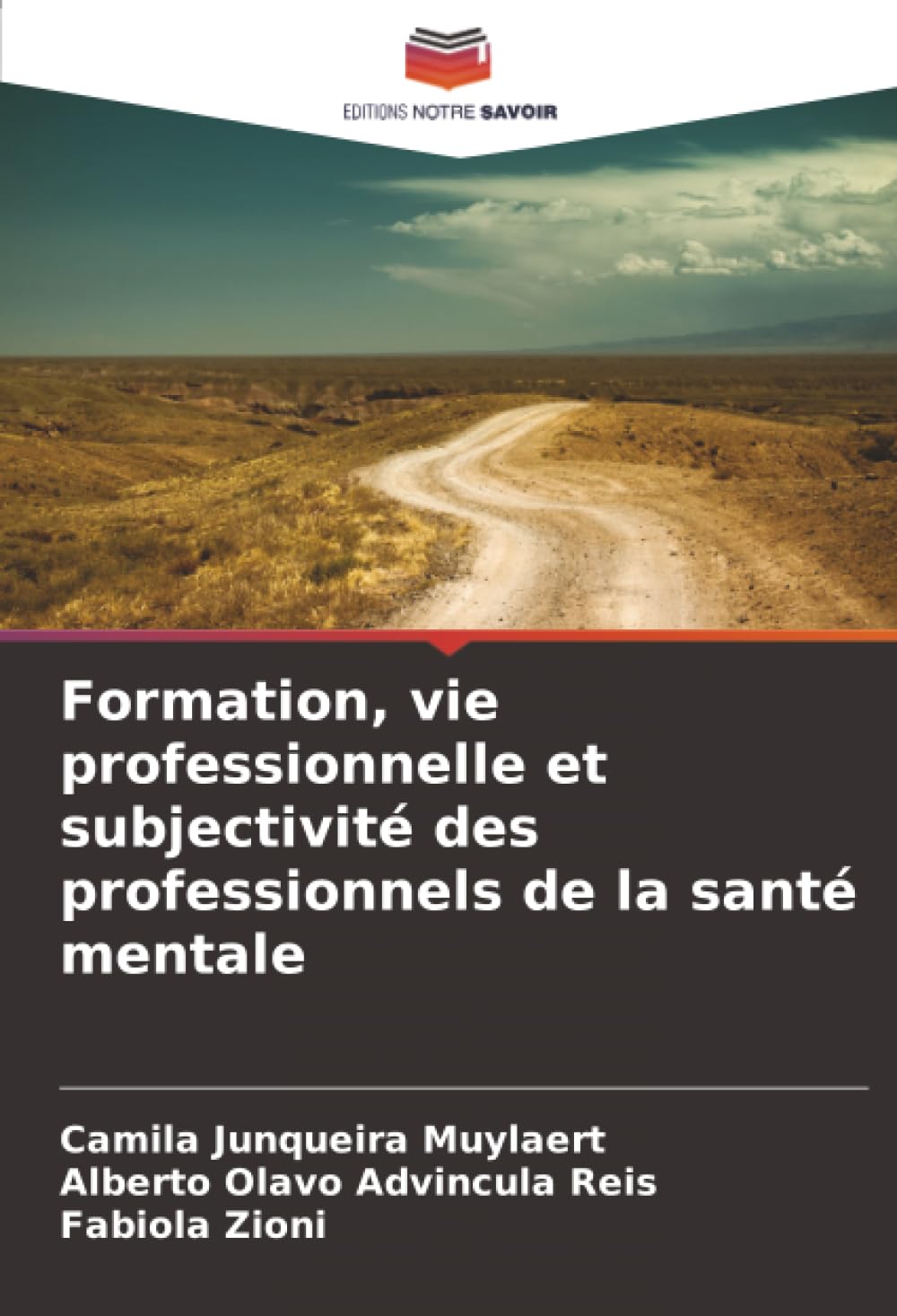 Formation, vie professionnelle et subjectivité des professionnels de la santé mentale