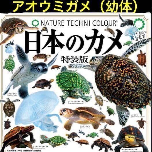 Amazon.co.jp: いきもん ネイチャーテクニカラー 日本のカメ 特装版